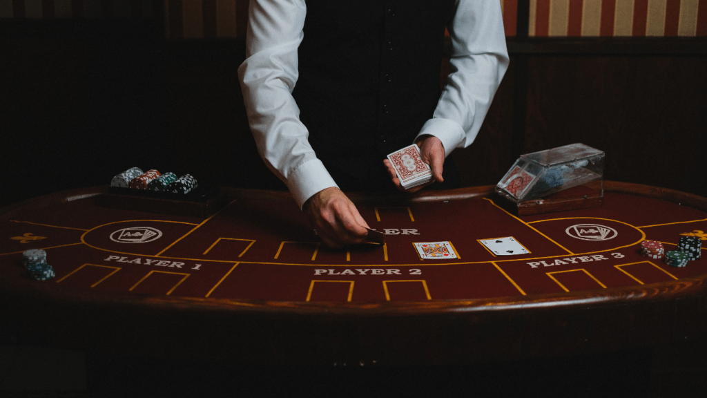 casino dealer setting up cards