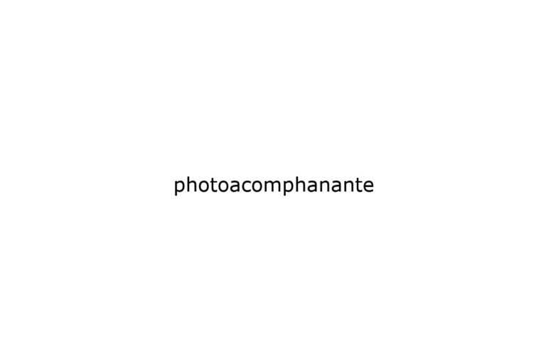 photoacomphanante