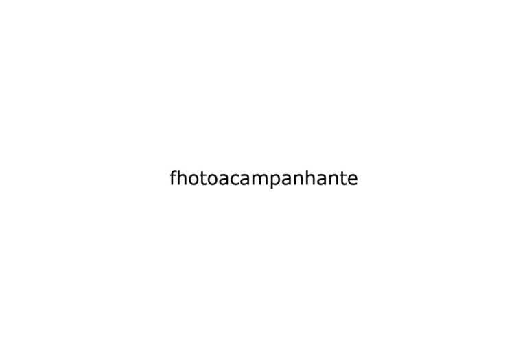 fhotoacampanhante