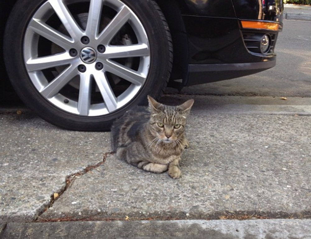 77390001866484792181020230732301620962