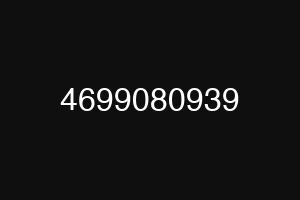 4699080939
