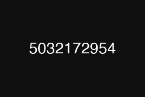 5032172954