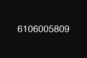 6106005809