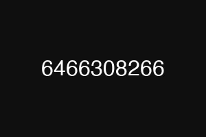 6466308266
