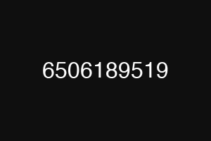 6506189519