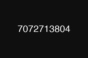 7072713804