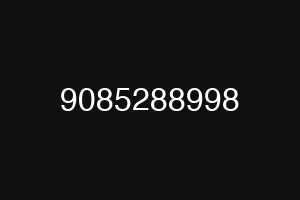 9085288998