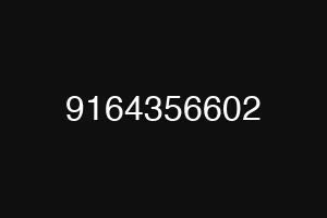 9164356602