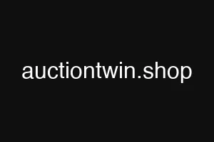 auctiontwin.shop