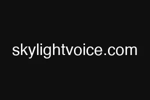 skylightvoice.com