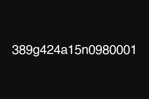 389g424a15n0980001