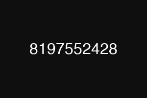 8197552428