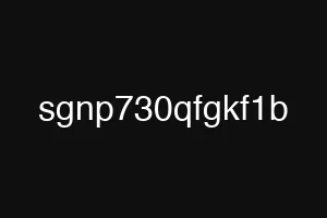 sgnp730qfgkf1b