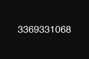 3369331068
