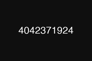 4042371924