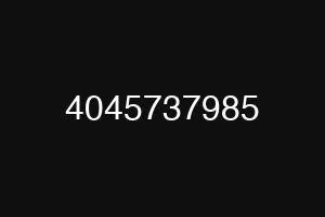 4045737985