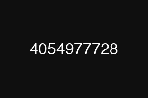 4054977728