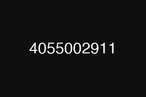 4055002911