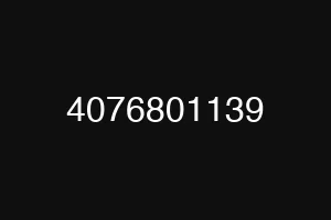 4076801139