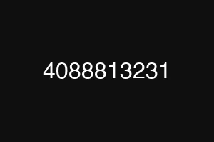 4088813231