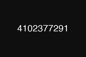 4102377291