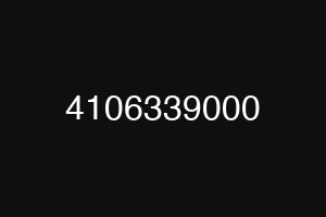 4106339000