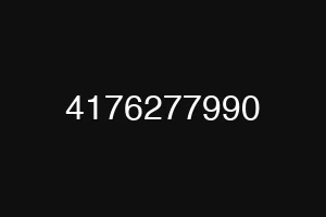 4176277990