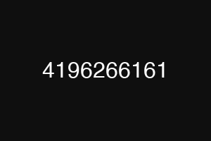 4196266161