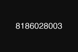 8186028003